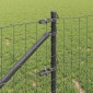 vidaXL Ευρωπαϊκός Φράκτης με Ακίδες 25 x 0,8 m PVC-Επικαλυμμένο Ατσάλι