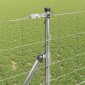 vidaXL Φράχτης Συρμάτινου Φράχτη 50 x 1 m Γαλβανισμένος Χάλυβας Ασημί