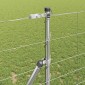 vidaXL Φράχτης Συρμάτινου Φράχτη 50 x 1,2 m Γαλβανισμένος Χάλυβας