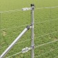 vidaXL Συρματόπλεγμα με ακίδες 25 x 0,8 m Γαλβανισμένος Χάλυβας Ασημί