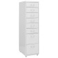 vidaXL Αρχειοθήκη Φορητή Γκρι 28 x 41 x 109 εκ. Μεταλλική