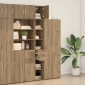 vidaXL Ντουλάπι αποθήκευσης 2 τμχ. Artisan Oak 30 x 42,5 x 225 εκ