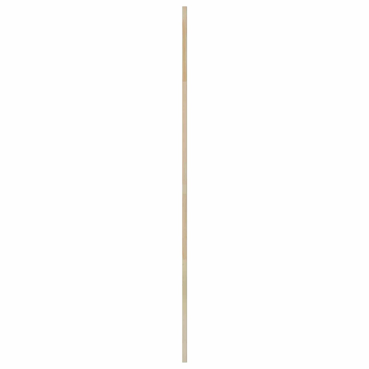 vidaXL Πόρτα Ντουλάπας με πόρτα 4 τεμ. Φυσικό 170 x 2,1 x 49,5 cm