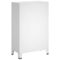 vidaXL Ντουλάπα Βιομηχανική Λευκή 67 x 35 x 107 εκ. Ατσάλινη