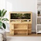 vidaXL Terrarium Καφέ 100 x 50 x 100 cm OSB