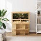 vidaXL Terrarium Καφέ 80 x 50 x 100 εκ. OSB