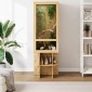 vidaXL Terrarium Καφέ 50 x 50 x 150 εκ OSB