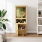 vidaXL Terrarium Καφέ 50 x 50 x 130 εκ OSB
