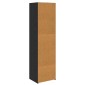 vidaXL Ντουλαπιού (Cabinet) Μαύρη Οξυά 50 x 41 x 185 εκ.