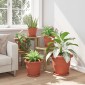 vidaXL Γλάστρες φυτών 6 τμχ. Κεραμιδί Ø 30 x 25 εκ Πλαστικό