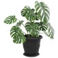 vidaXL Γλάστρες φυτών 24 τμχ. Μαύρο Ø 26 x 21.5 εκ Πλαστικό