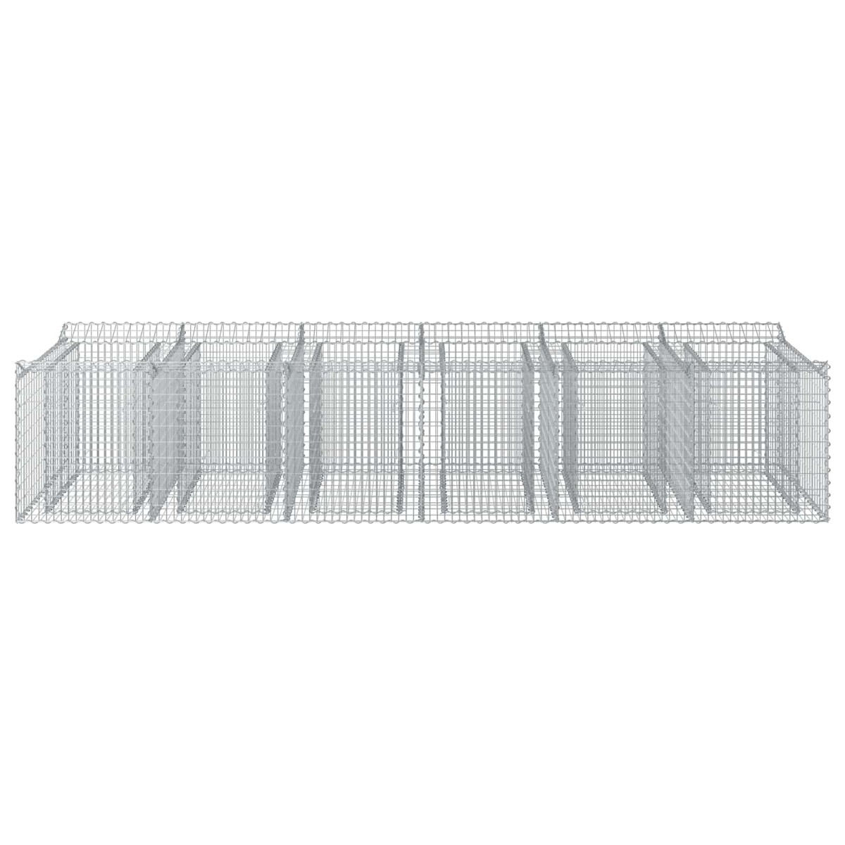 vidaXL Ανασηκωμένο κρεβάτι gabion 2 τμχ. 300 x 100 x 60 εκ Ασημί