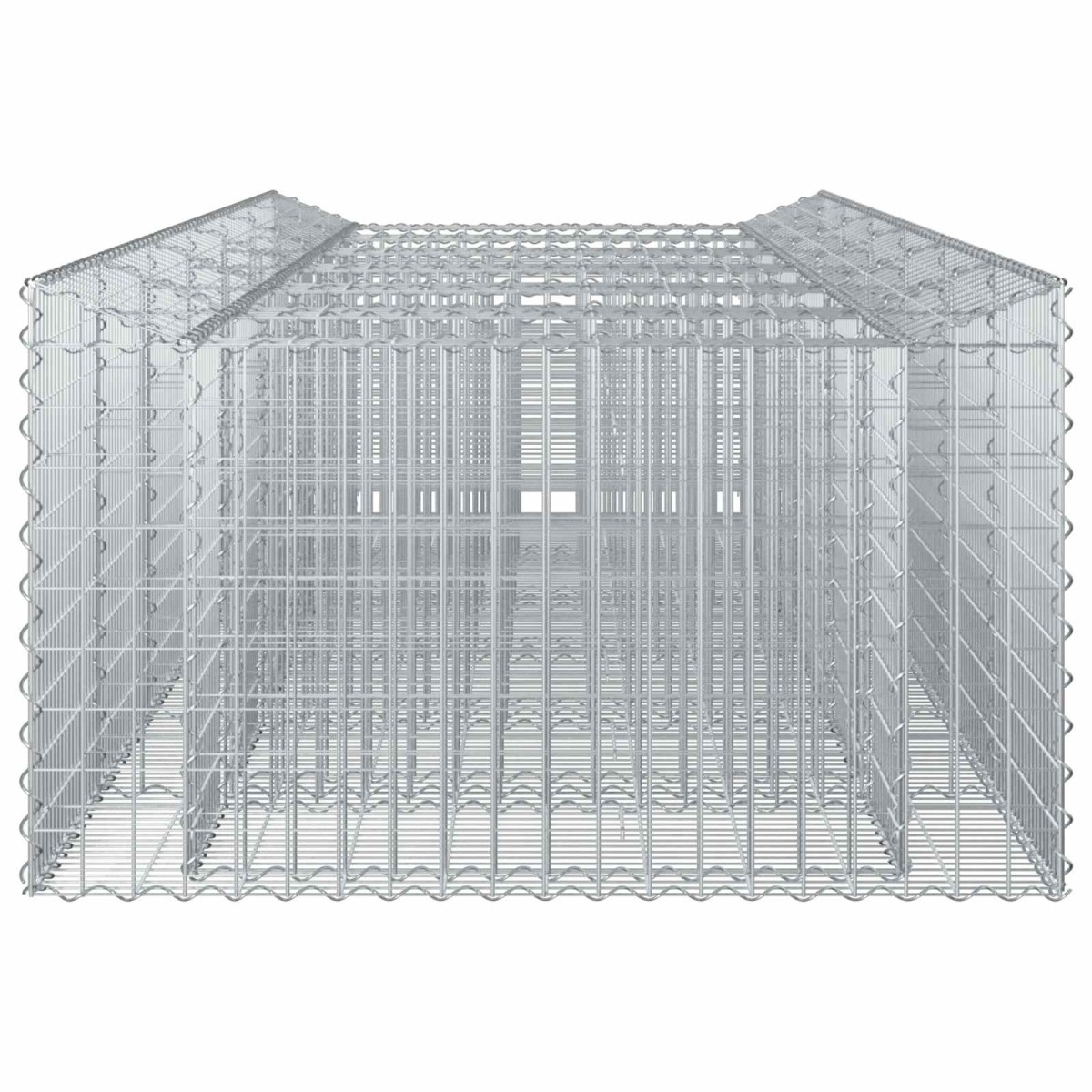 vidaXL Ανασηκωμένο κρεβάτι gabion 2 τμχ. 300 x 100 x 60 εκ Ασημί