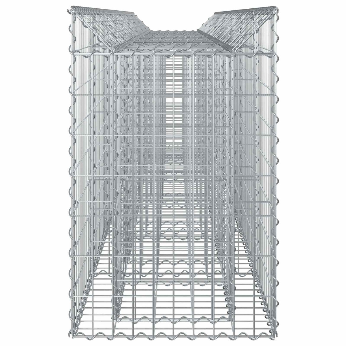 vidaXL Ανασηκωμένο κρεβάτι gabion 2 τμχ. 300 x 50 x 80 εκ Ασημί