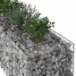 vidaXL Ανασηκωμένο κρεβάτι gabion 2 τμχ. 260 x 60 x 55 εκ Ασημί