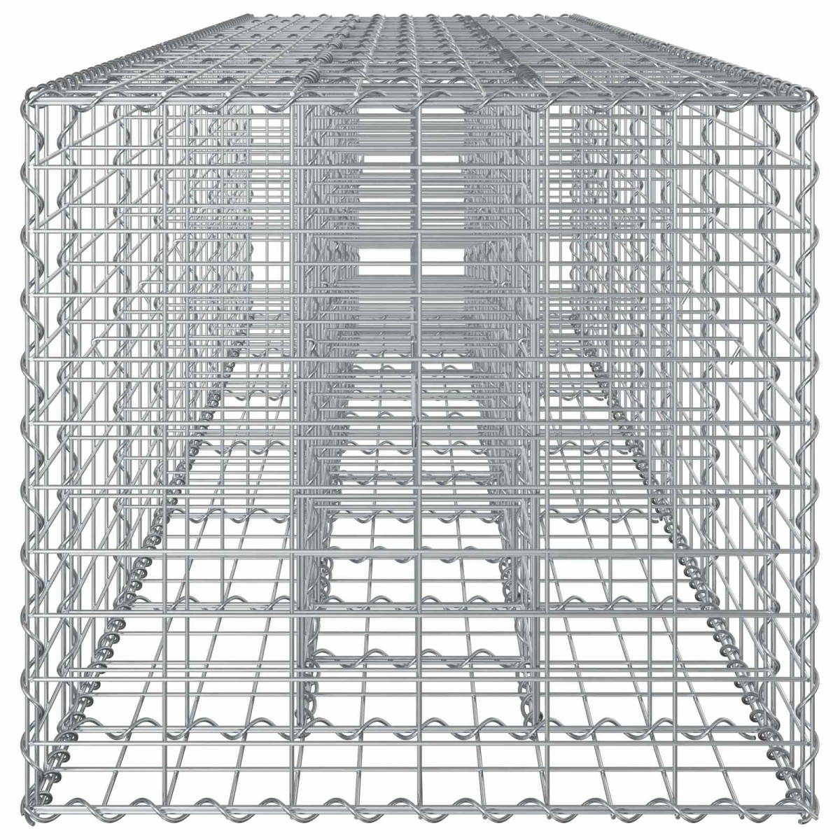vidaXL Ανασηκωμένο κρεβάτι gabion 2 τμχ. 260 x 60 x 55 εκ Ασημί