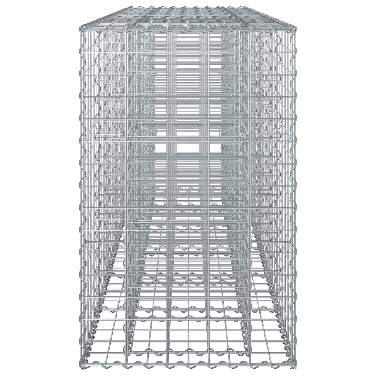 vidaXL Ανασηκωμένο κρεβάτι gabion 2 τμχ. 250 x 50 x 80 εκ Ασημί