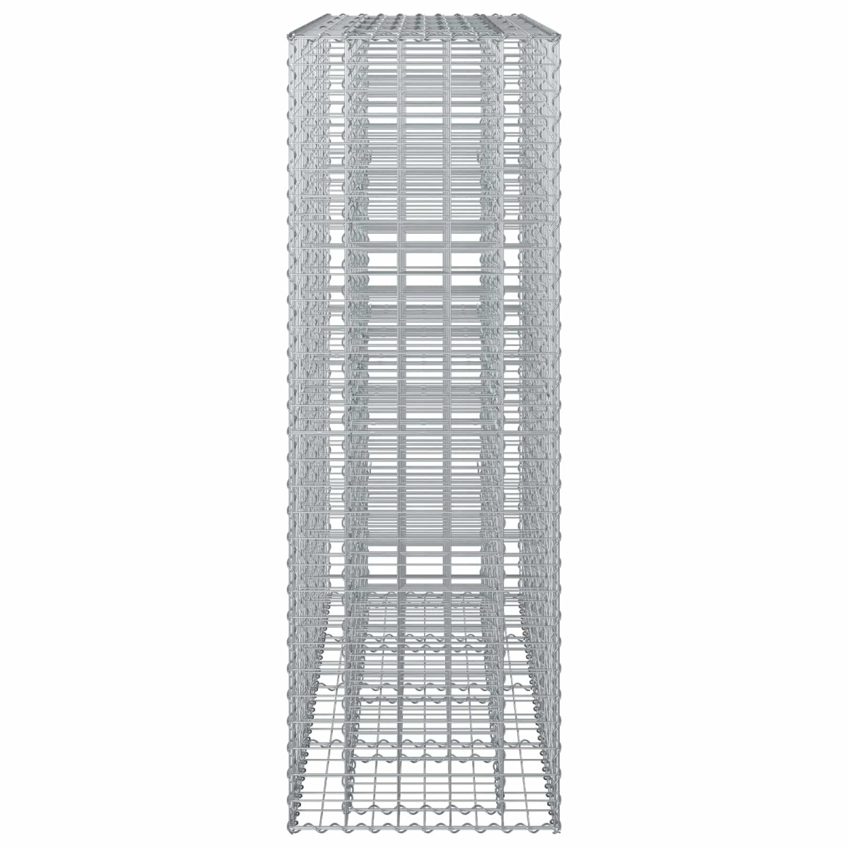 vidaXL Ανασηκωμένο κρεβάτι gabion 2 τμχ. 170 x 50 x 150 εκ Ασημί