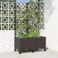 vidaXL Γλάστρα κήπου με πέργκολα & τροχούς Καφέ 80 x 40 x 146 εκ PP