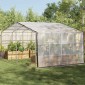 vidaXL Κάλυμμα Φυτών Διαφανές 3 x 12 m PE