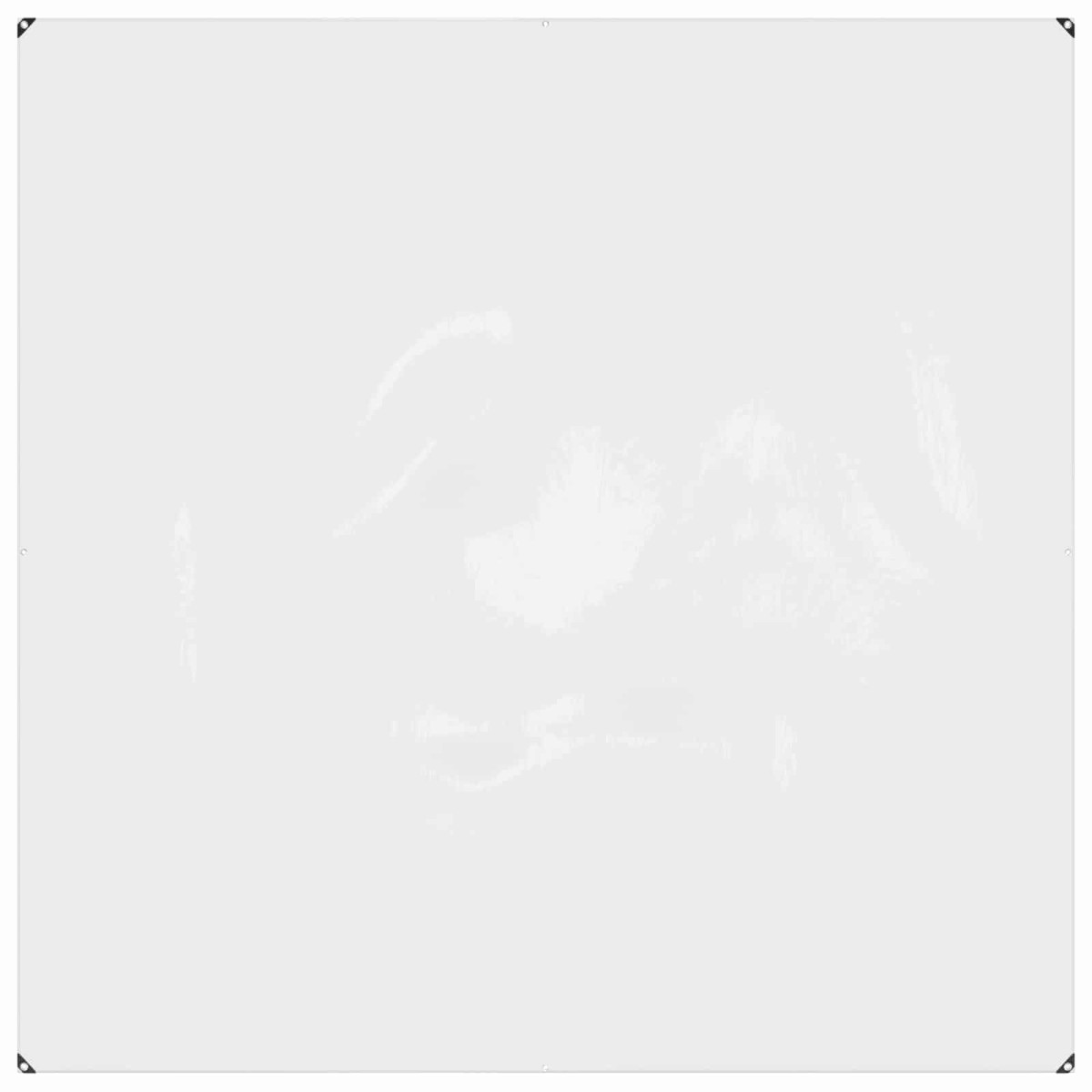 vidaXL Κάλυμμα Φυτών Διαφανές 2 x 2 m PVC