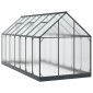 vidaXL Θερμοκήπιο Κήπου με πόρτα Ανθρακί 183,5 x 423,5 x 207 εκ
