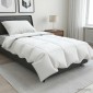 vidaXL Σετ πάπλωμα 90% χήνας FULDA 2 τμχ. 152 x 203 cm Καλοκαίρι Λευκό