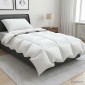 vidaXL Σετ πάπλωμα 90% χήνας FULDA 2 τμχ. 150 x 200 cm Όλες οι εποχές