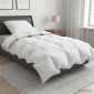 vidaXL Σετ πάπλωμα 90% χήνας FULDA 2 τμχ. 155 x 200 εκ. Χειμώνας Λευκό