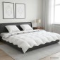 vidaXL Σετ πάπλωμα 90% χήνας FULDA 3 τμχ. 220 x 260 cm Χειμώνας Λευκό