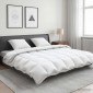 vidaXL Σετ πάπλωμα 90% χήνας FULDA 3 τμχ. 200 x 240 cm Όλες οι εποχές