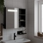 vidaXL Καθρέφτης Μπάνιου με Ντουλάπι & LED Μαύρο 60 x 13 x 52 εκ.