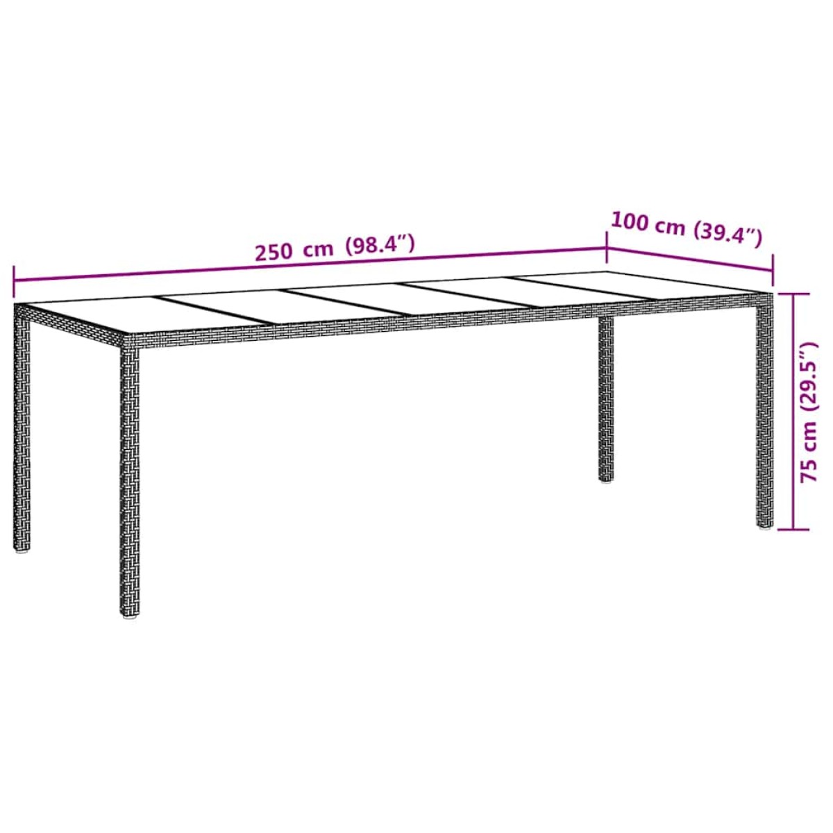 vidaXL Τραπέζι Κήπου Λευκό 250x100x75 εκ. Συνθετ. Ρατάν/Ψημένο Γυαλί