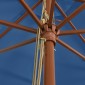 vidaXL Ομπρέλα Κήπου με Ξύλινο Ιστό Μπλε Αζούρ 400 x 273 εκ.
