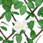 vidaXL Καφασωτό Επεκτ. Πράσινο 5 Τεμ. 186x70 εκ. Τεχνητά Αμπελόφυλλα