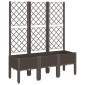 vidaXL Ζαρντινιέρα Κήπου με Καφασωτό Καφέ 120 x 40 x 142 εκ. από PP