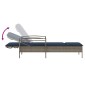 vidaXL Ξαπλώστρα με Μαξιλάρι Γκρι 63x200x81 εκ. από Συνθετικό Ρατάν (μόνο για τις ΗΠΑ)