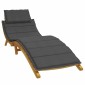 vidaXL Μαξιλάρι Ξαπλώστρας Ανθρακί 186x58x4 εκ. Ύφασμα