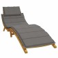 vidaXL Μαξιλάρι Ξαπλώστρας Σκούρο Γκρι 186x58x4 εκ. Ύφασμα
