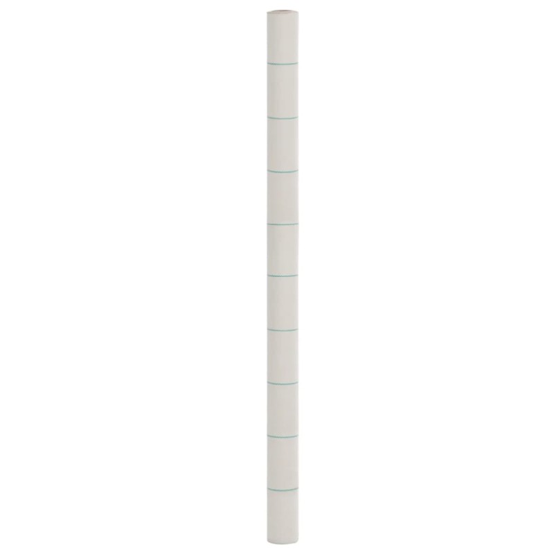 vidaXL Μεμβράνη Εδαφοκάλυψης Λευκή 2x100 μ. από Πολυπροπυλένιο