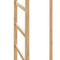 vidaXL Βάση για Ρούχα με Γάντζους και Ράφια 38,5x30x156 εκ. από Μπαμπού