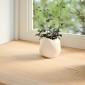 vidaXL Περβάζια παραθύρων 2 τεμ. 120x25x2 εκ. Ακατέργαστο Μασίφ Δρυός