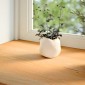 vidaXL Περβάζια παραθύρων 2 τεμ. Αν. Καφέ 110x40x2εκ. Μασίφ Ξύλο Δρυός