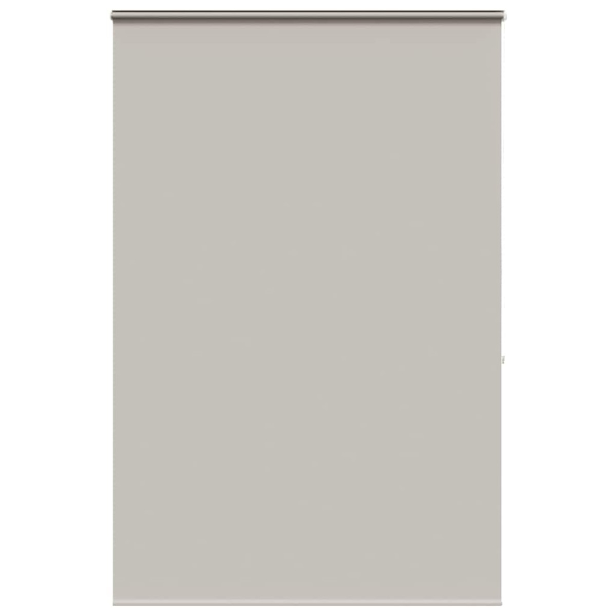 vidaXL Κουρτίνα Μπάνιου Ρολό κασέτα 160x240εκ. Πλάτος υφάσματος 156εκ.