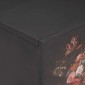 vidaXL Ντουλάπες Αποθήκευσης Πολύχρωμο 105 x 33,5 x 46 εκ.