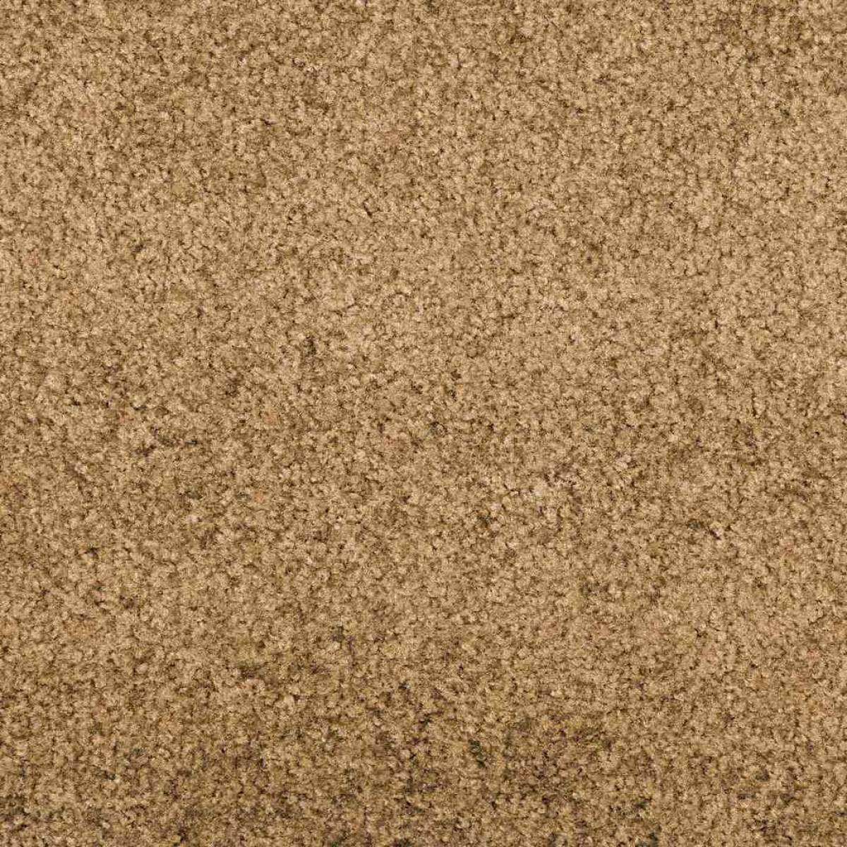 vidaXL Χαλάκι Εξώπορτας Άλλο Κρέμα και Μαύρο 120 x 300 cm