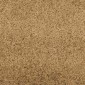 vidaXL Χαλάκι Εξώπορτας Άλλο Κρέμα και Μαύρο 120 x 400 cm