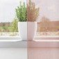 vidaXL Κουρτίνες Voile με ροδέλες 2 τεμάχια Ροζ 140x260 εκ.