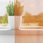 vidaXL Κουρτίνες Voile με Θηλιές 2 τεμ. Πορτοκαλί 140x140 εκ.