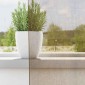 vidaXL Κουρτίνες Voile με Θηλιές 2 τεμ. Ανοιχτό Καφέ 140x140 εκ.